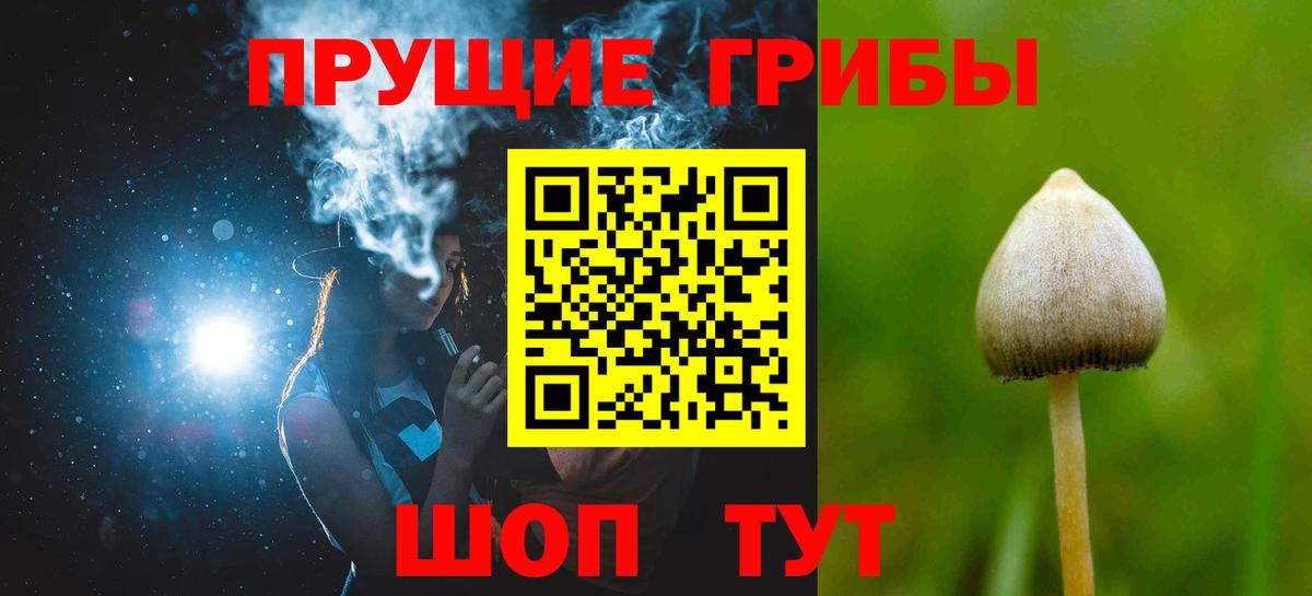 Юрга  Псилоцибиновые грибы ЛСД  Вход с VPN 